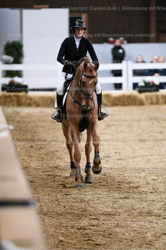 20260307_Hengstvorstellung-Marbach_0147 | equistock