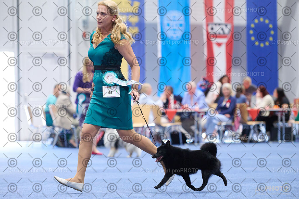 202406_ÖKV-IHA-Tulln24_DSC_2868 | proPHOTO - Realisiert mit Pictrs.com