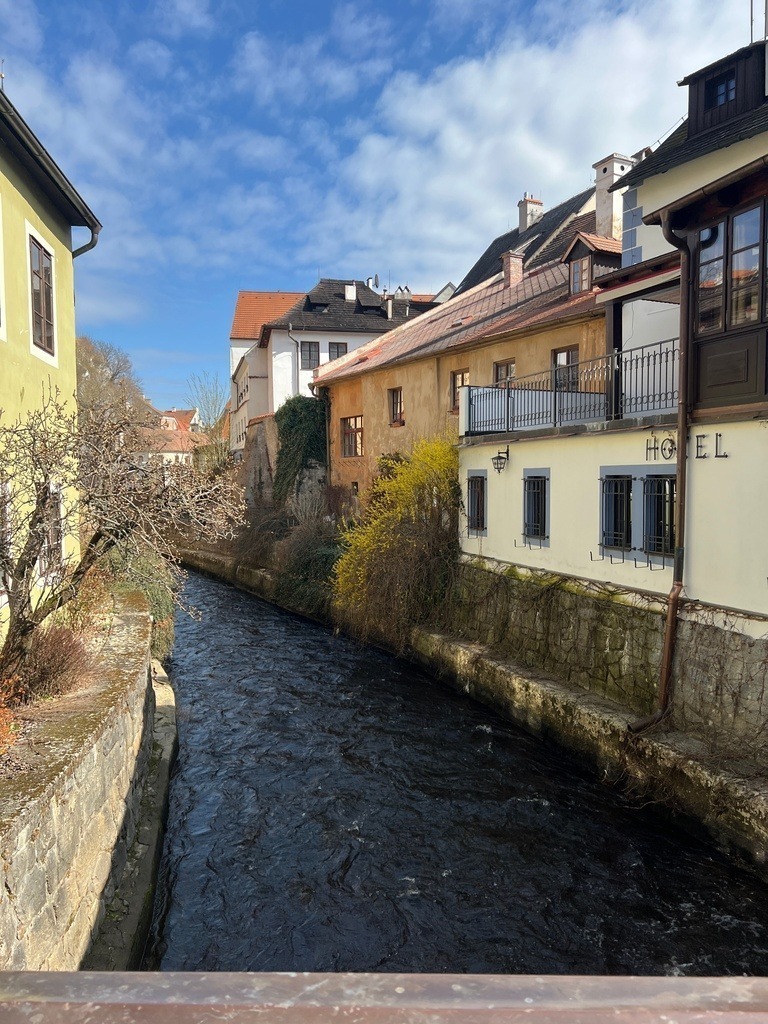 IMG_0704 | ace - Realisiert mit Pictrs.com