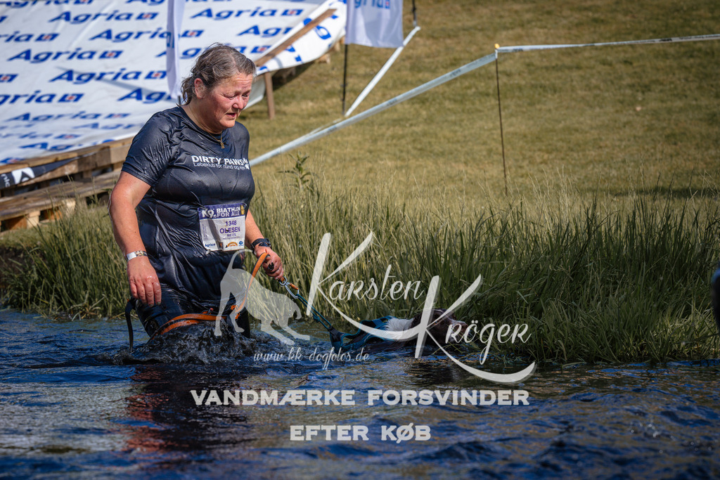 _ZZ981190754 | kk-dogfotos