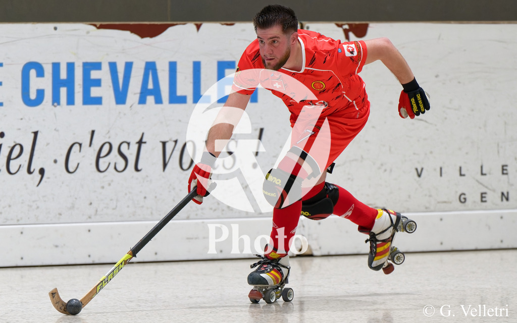 DSC_5560_1 | Velletri Photo