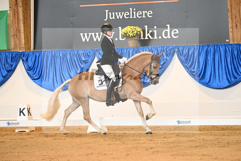 Kat-Nr. 293 Only_Aicher_54221695 | hf-fotografie - Realisiert mit Pictrs.com