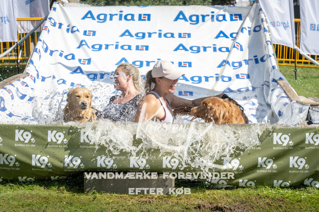 1149_ZZ94177 | kk-dogfotos