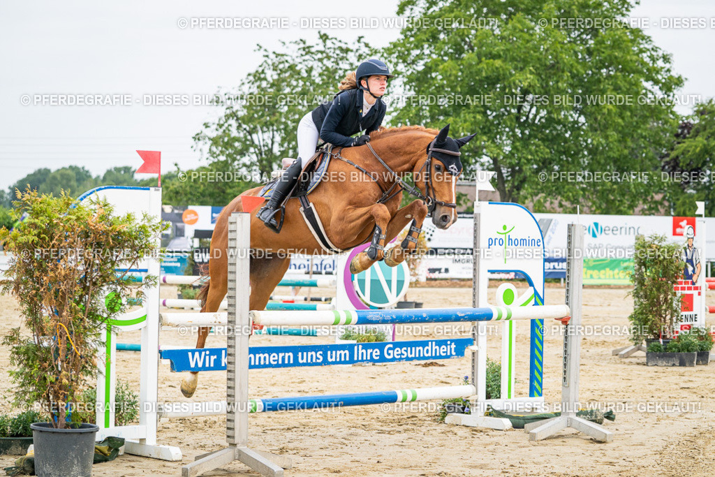 DSC09503 | Pferdegrafie