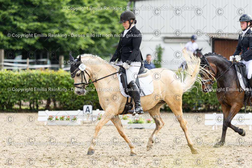 CL5A6107 | Emilia Reinking Fotografie - Realisiert mit Pictrs.com