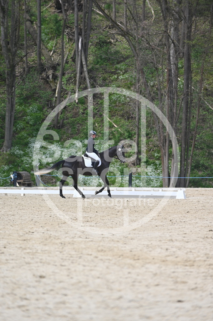 DSC_3023 | sattelsport - Realisiert mit Pictrs.com