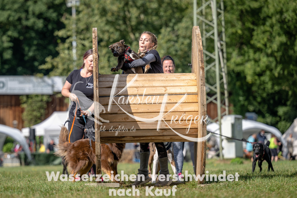 1131_ZZ90375 | kk-dogfotos