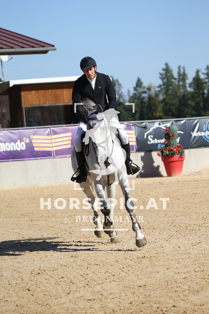 DL2Q2622 | Willkommen bei Brunnmayr - Design & Fotografie – Ihrem Spezialisten für Reitturniere und Pferdeveranstaltungen in Oberösterreich, Salzburg und Bayern! Seit über 17 Jahren sind wir leidenschaftlich dabei.