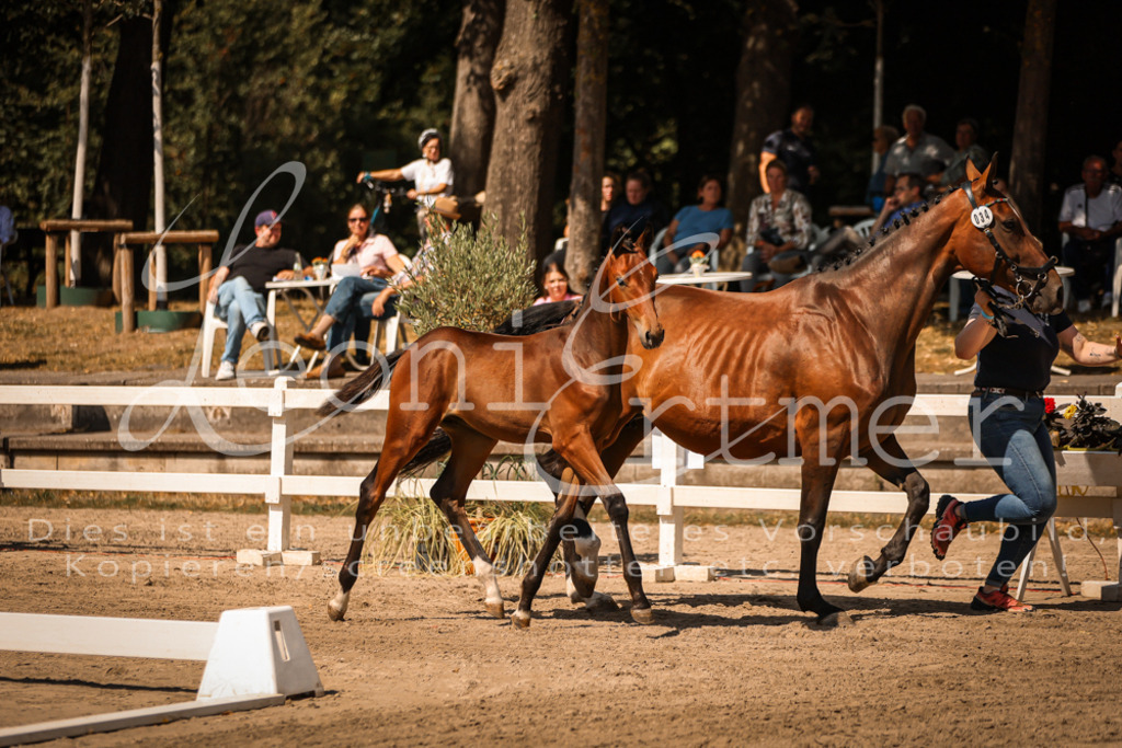 07.DoWBS00018 | Leoni Ertmer Photography - Realisiert mit Pictrs.com