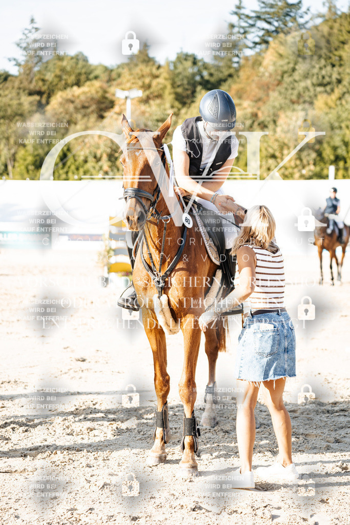 CK705216 | Turnierfotografie Pferdefotografie Trier Rheinland-Pfalz Pferdesport Reitsport Tierfotografie Sportfotografie Pferdevideo Pferdevideografie Equestrianvideography equestrianphotography  - Realisiert mit Pictrs.com