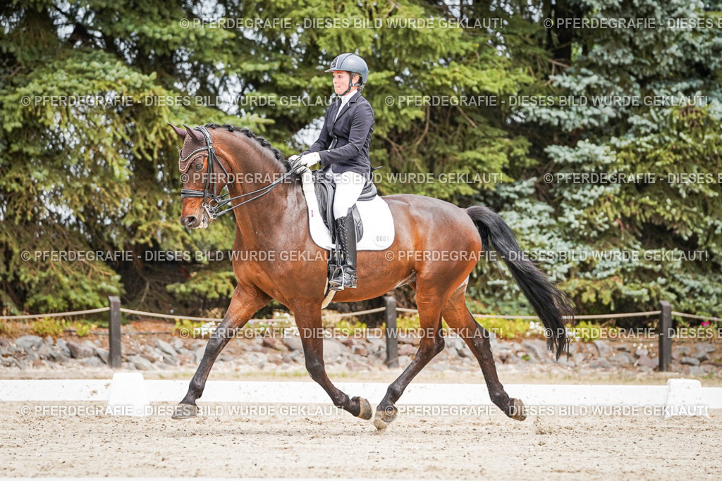 DSC04902 | Pferdegrafie