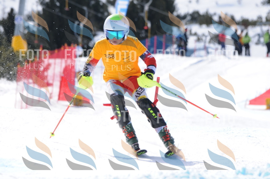 C9122 | holidayphoto