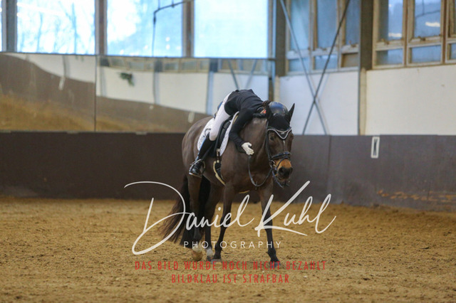 IMG_8106 | Turniersportfotografie; Pferdefotografie; Dressurfotografie