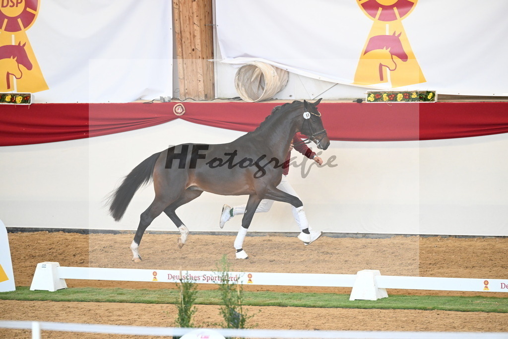 Kat.-Nr. 89 v. Vivaldon_Beckmann_2250837 | hf-fotografie - Realisiert mit Pictrs.com