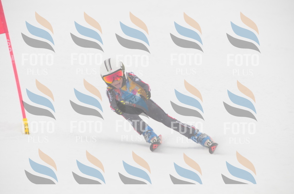 C0921 | holidayphoto