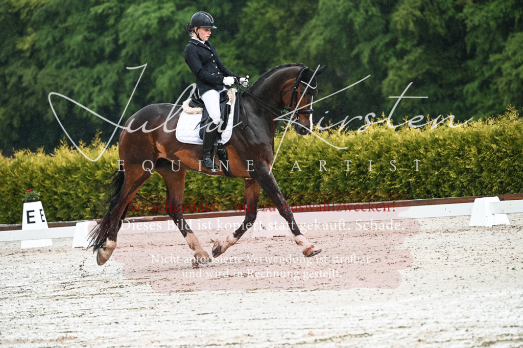 DSC_4148 | Pferde- und Turnierfotografie in Westsachsen. Pferdeportraits, Auftragszeichnungen und intuitive Kunst.
