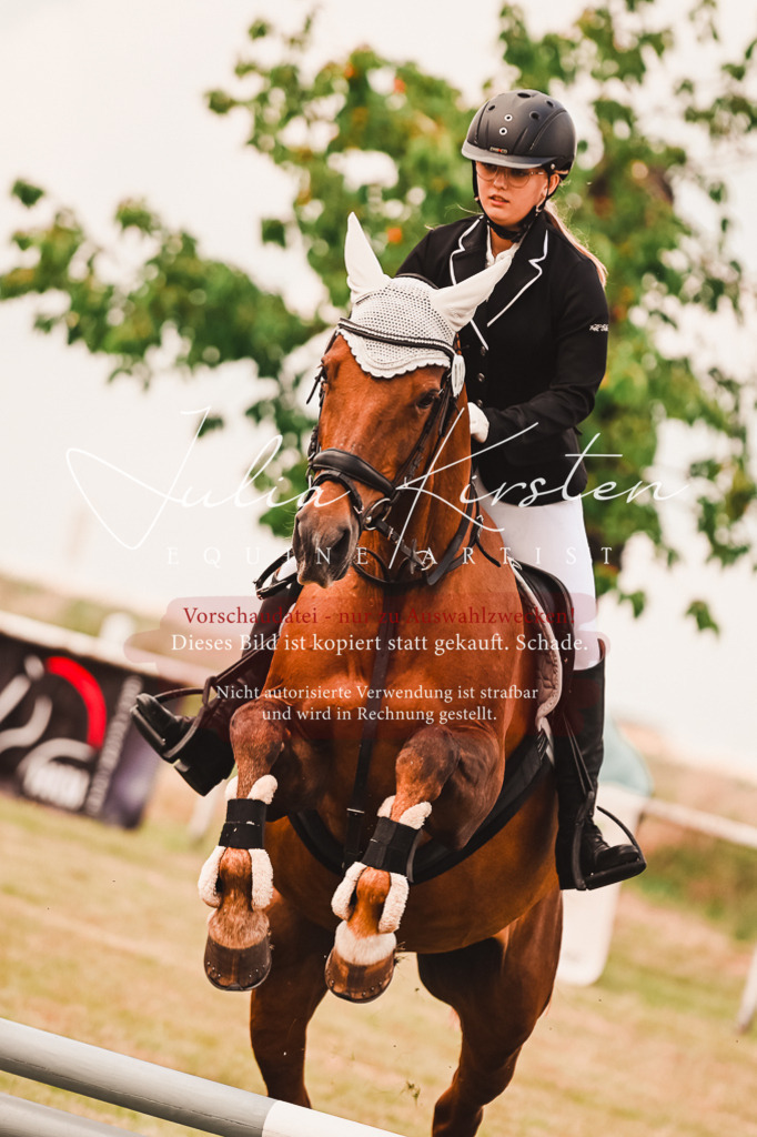 DSC_6853 | Pferde- und Turnierfotografie in Westsachsen. Pferdeportraits, Auftragszeichnungen und intuitive Kunst.
