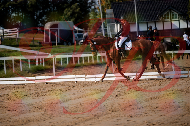 2026_10_03_Siefer-Hof_114212_Z63_23594615 | Professionelle Reitsport-, Turnier- und Eventfotografie von Robert Broda. Galerien mit ausgewählten und bearbeiteten Bildern direkt online ansehen und bestellen.
