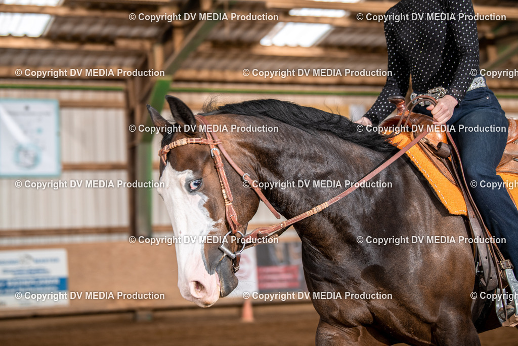 Balingen Tag 2-704 | dv-media-shop - Realisiert mit Pictrs.com