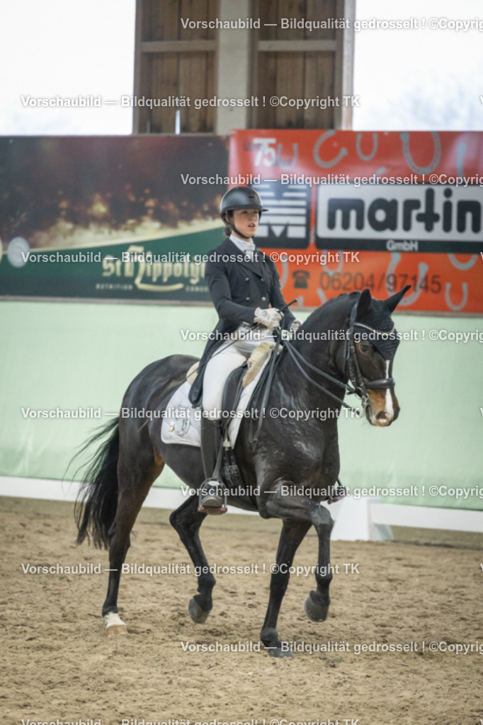 _D5A7006 | Emotionale Pferde- & People-Fotografie rund um Heidelberg, Leimen & Umgebung. Natürliche Fotos von Pferd, Mensch & Familie. Jetzt Termin sichern!