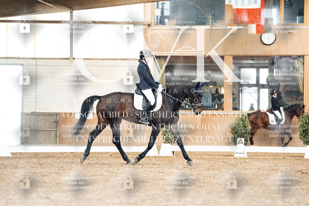 CK901411 | Turnierfotografie Pferdefotografie Trier Rheinland-Pfalz Pferdesport Reitsport Tierfotografie Sportfotografie Pferdevideo Pferdevideografie Equestrianvideography equestrianphotography  - Realisiert mit Pictrs.com