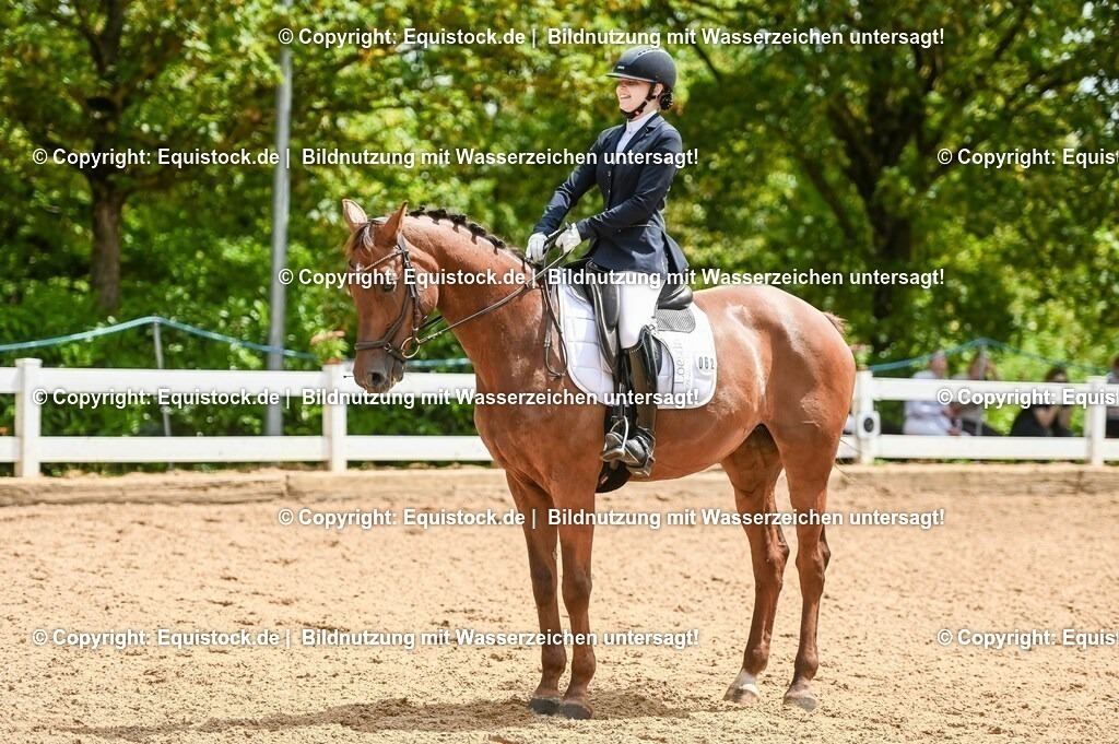 20230716_03_Dressurprfg. Kl.L - Tr._0379 | equistock