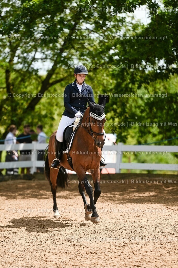 20230716_03_Dressurprfg. Kl.L - Tr._0680 | equistock