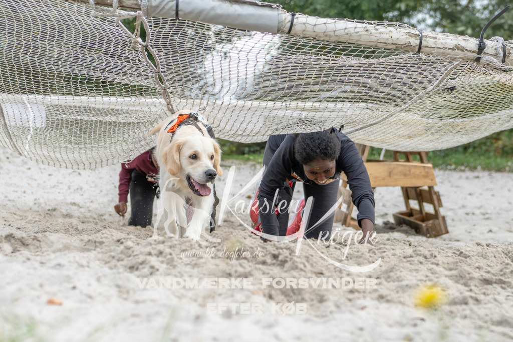 1528_ZZ95403 | kk-dogfotos