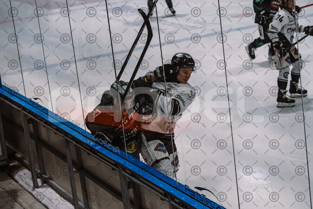 Alligators_vs_Passau_26_12_2025-076 | Höchstadt Alligators Fotogalerie: Eishockey-Action aus Franken. Professionelle Spielfotos, Portraits & Stadionbilder zum Download. Jetzt entdecken! - Realisiert mit Pictrs.com