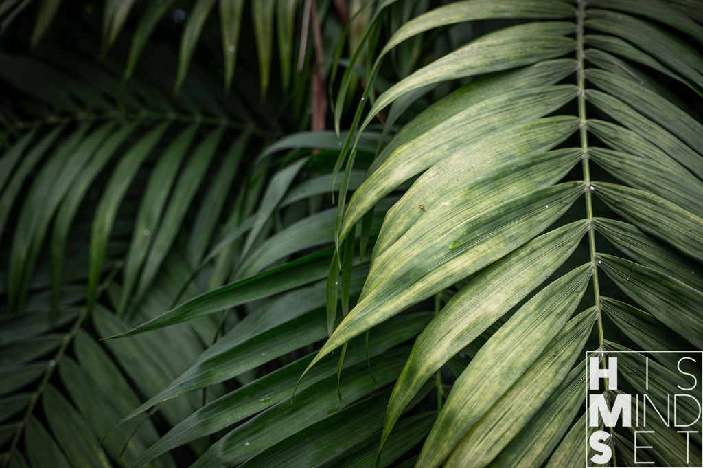 Easy Sheet | Sichere dir dein Lieblingsbild von HISMINDSET als Print für dein Zuhause oder das Büro! - Realisiert mit Pictrs.com