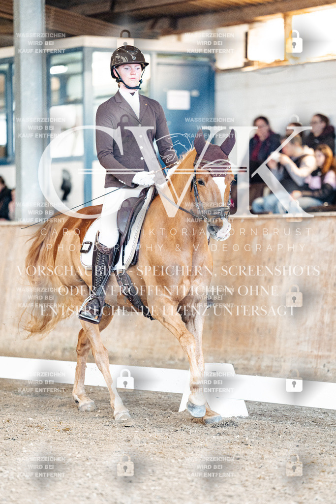 CK900806 | Turnierfotografie Pferdefotografie Trier Rheinland-Pfalz Pferdesport Reitsport Tierfotografie Sportfotografie Pferdevideo Pferdevideografie Equestrianvideography equestrianphotography  - Realisiert mit Pictrs.com