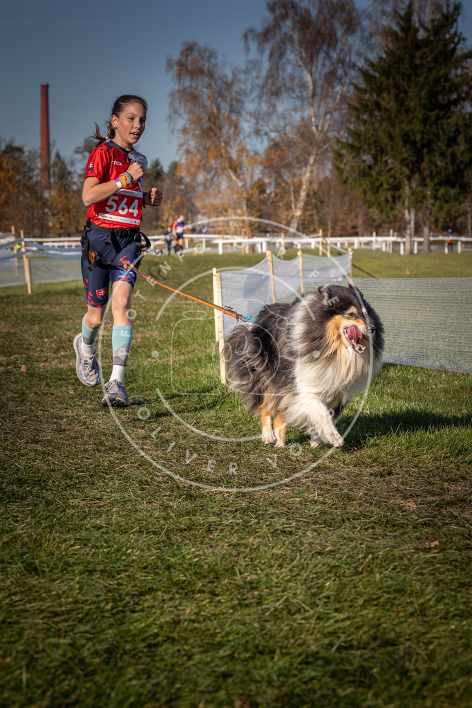 CaniXpix_0L8A7918 | Hundefotografie, Tierfotograf, Pfotenfotografie, Fotoshooting Hund, Hunde Portrait, Hundesport, Hundeportraits, Heideshooting, Hunde, Sportfotograf, Hundefotograf, Turnierhundsport, THS,  - Realisiert mit Pictrs.com
