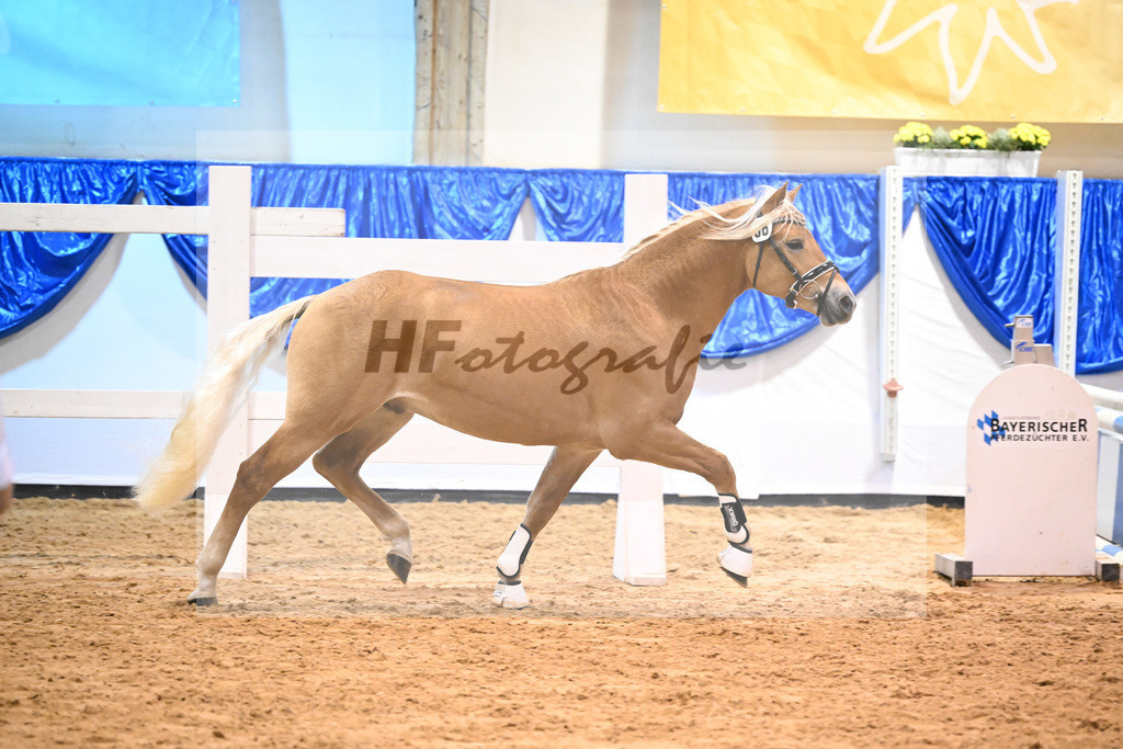 Kat-Nr. 36 nn v. Ansgar_Port_60220589 | hf-fotografie - Realisiert mit Pictrs.com