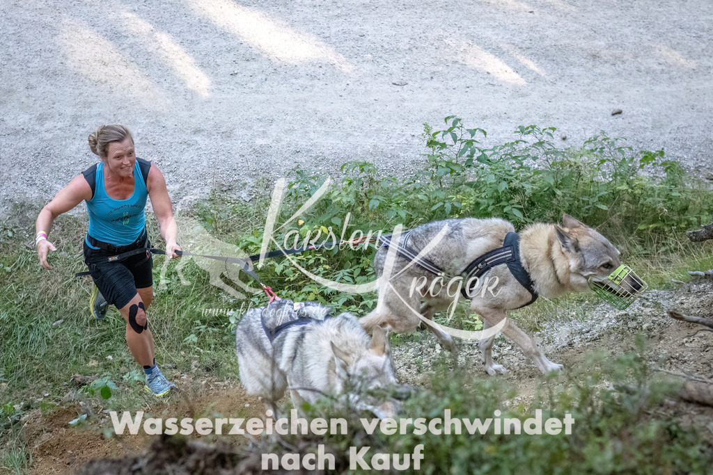 0934_ZZ92234-DeNoiseAI-low-light | kk-dogfotos