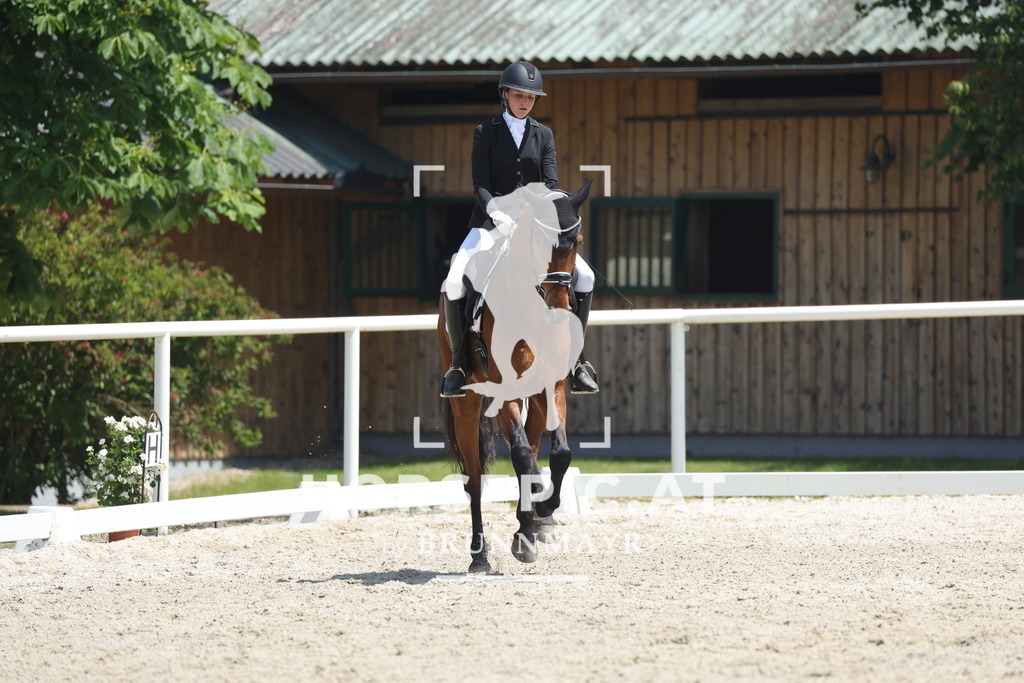 0P6A1652 | Willkommen bei Brunnmayr - Design & Fotografie – Ihrem Spezialisten für Reitturniere und Pferdeveranstaltungen in Oberösterreich, Salzburg und Bayern! Seit über 17 Jahren sind wir leidenschaftlich dabei.