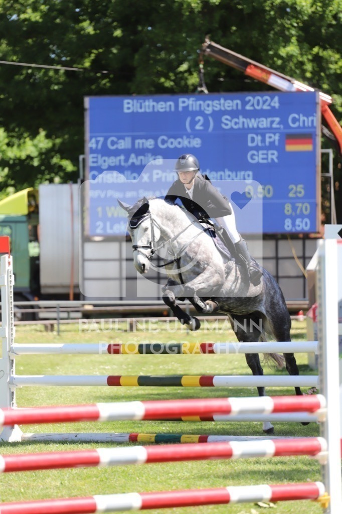 IMG_6205 | Pauline Ullmann Photography - Realisiert mit Pictrs.com