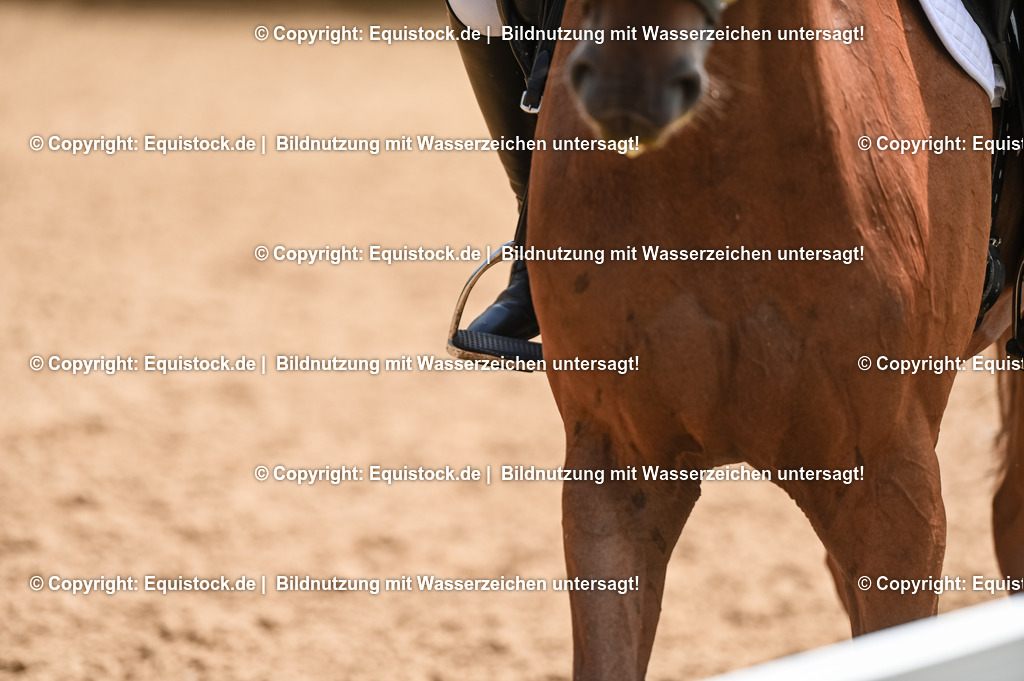 20230716_03_Dressurprfg. Kl.L - Tr._0326 | equistock