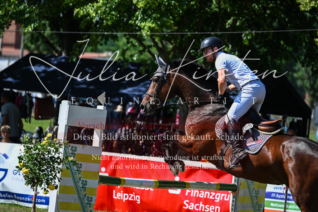 DSC_1654 | Pferde- und Turnierfotografie in Westsachsen. Pferdeportraits, Auftragszeichnungen und intuitive Kunst.