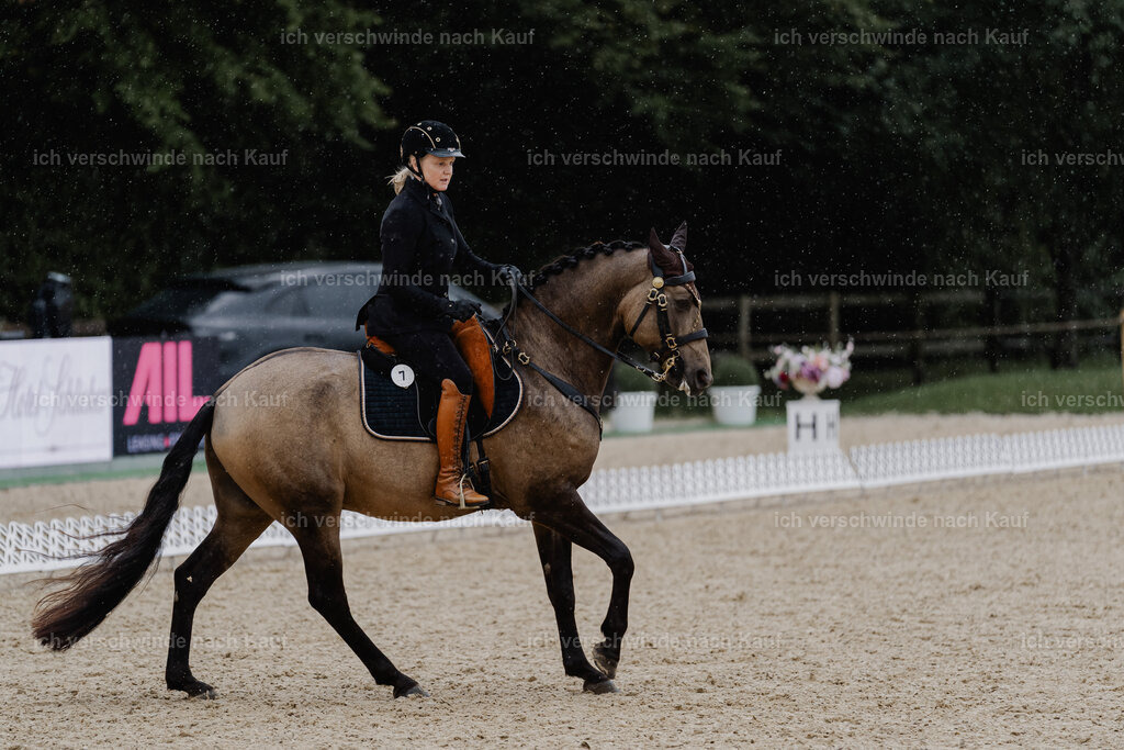 Katja7_FHC2025-8499 | working equitationturnier fotograf videograf stoibphotography marixx film working equitation deutschland reitsport turnierfotografie eventfotografie equestrian events