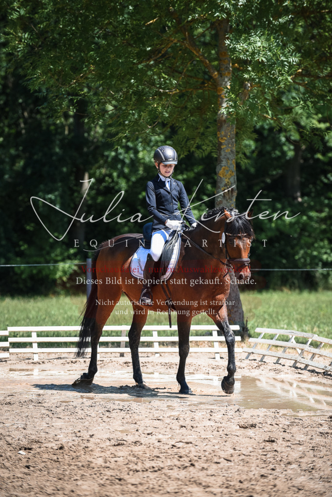 DSC_2850 | Pferde- und Turnierfotografie in Westsachsen. Pferdeportraits, Auftragszeichnungen und intuitive Kunst.