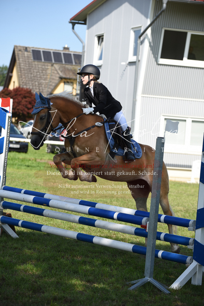 DSC_9050 | Pferde- und Turnierfotografie in Westsachsen. Pferdeportraits, Auftragszeichnungen und intuitive Kunst.