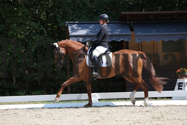 Ichenheim_2026_BW_Meisterschaften_Prfg.Nr.28_2.WP_Ponyreiter_Carlotta Stölzle (8) | Alle Fotos der Reiterjournal Fotografin Doris Matthaes im Reiterjournal Online-Fotoshop. - Realisiert mit Pictrs.com