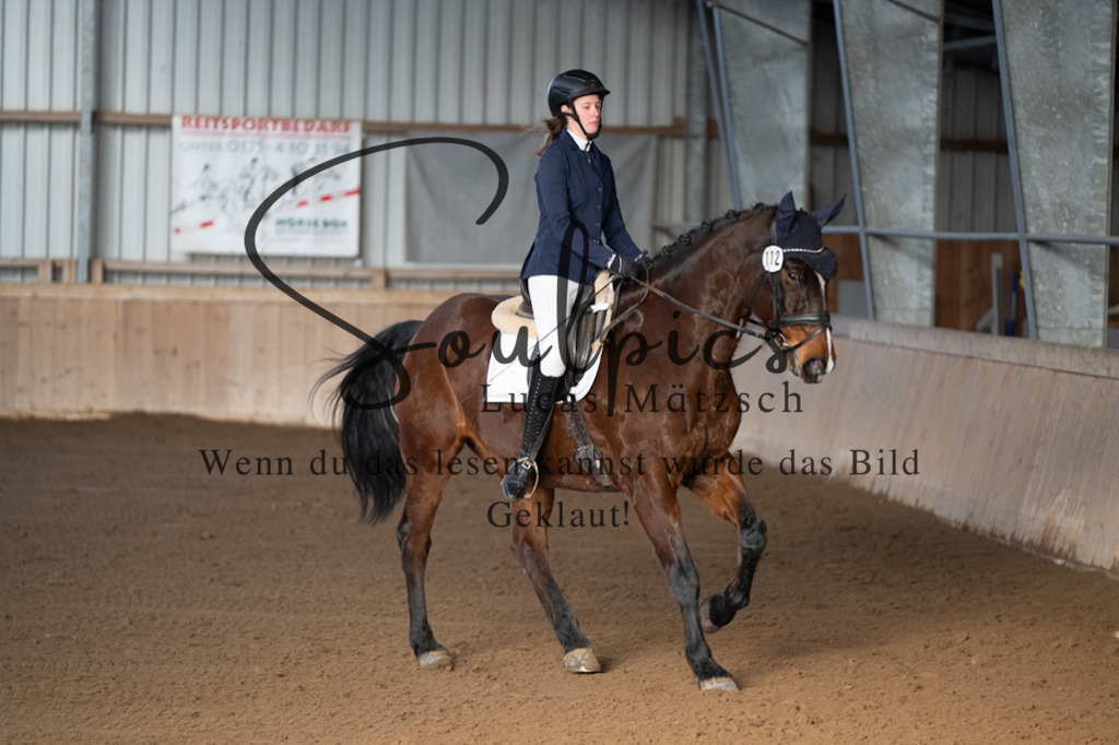 A7V05664 | Pferdefotograf