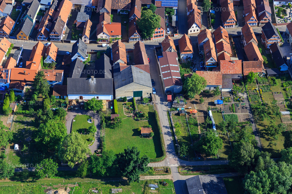 Luftbild: Sportplatzweg in Freckenfeld im Bundesland Rheinland-Pfalz in Deutschland. Foto: IMG_083072.jpg vom 26.06.2015 durch Werner Riehm/FLY-FOTO.de