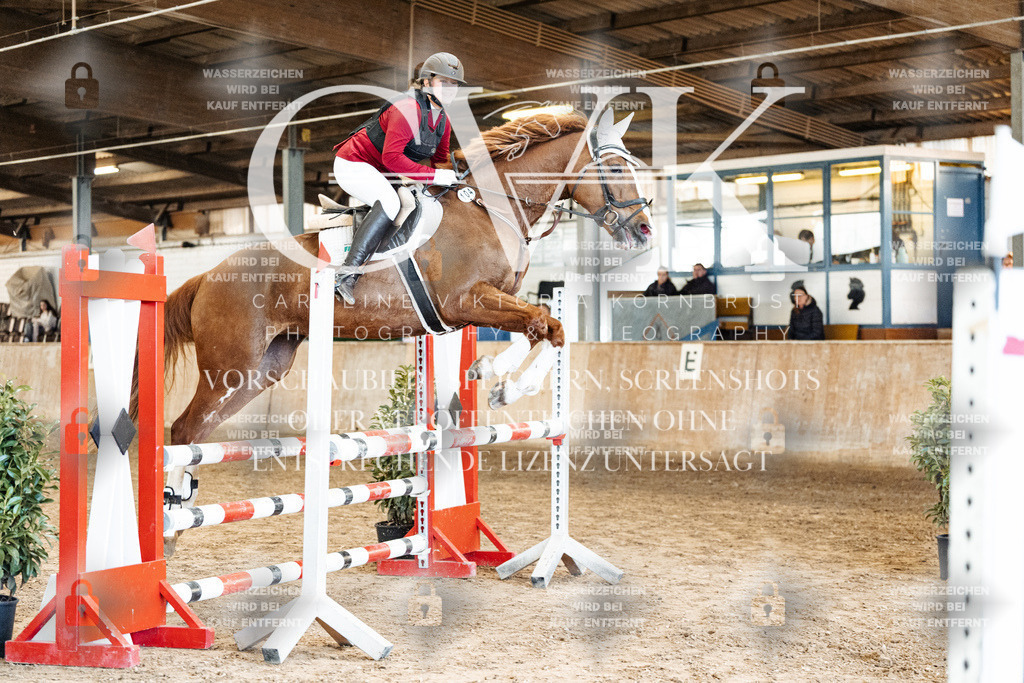 CK904991 | Turnierfotografie Pferdefotografie Trier Rheinland-Pfalz Pferdesport Reitsport Tierfotografie Sportfotografie Pferdevideo Pferdevideografie Equestrianvideography equestrianphotography  - Realisiert mit Pictrs.com