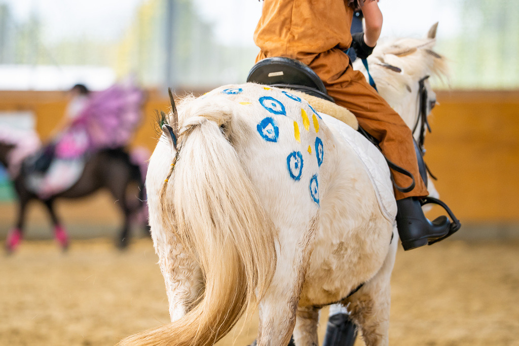 DSC00130 | Pferdegrafie