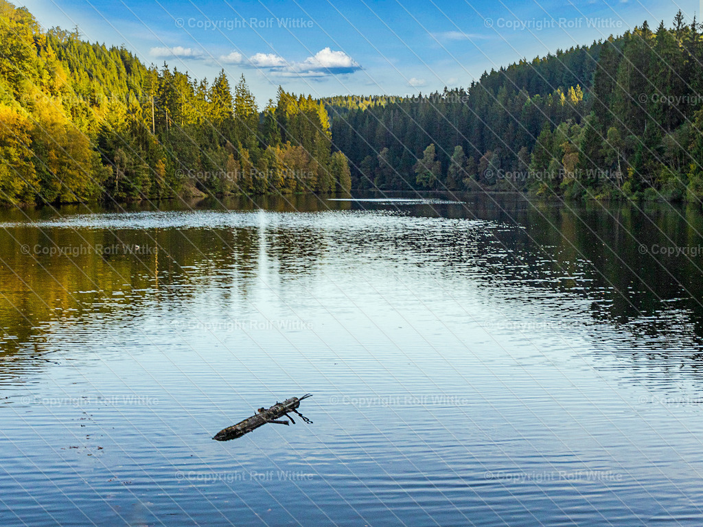 see | Rolf Wittke  - Realisiert mit Pictrs.com