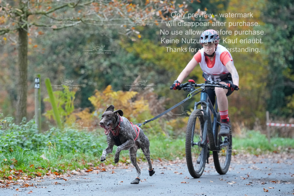 Bike_So-36 | stephaniefillaphotographie - Realisiert mit Pictrs.com