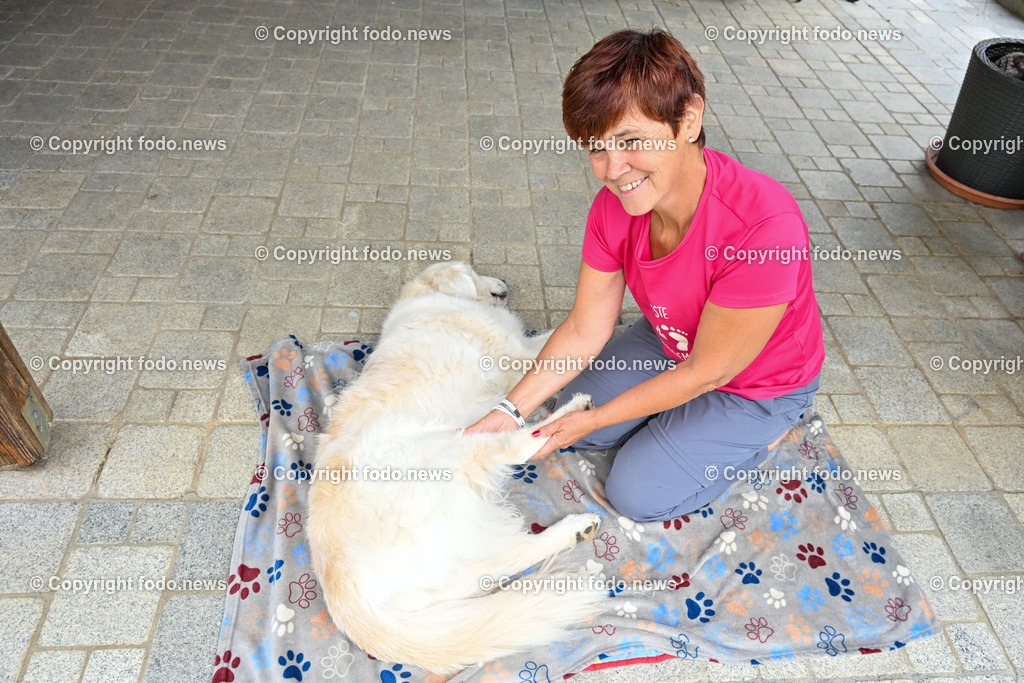 Birgit Leitner_ Tierernaehrungsberaterin_ 01.07.2023-6 | 01.07.2023, Leonding, AUT, Birgit Leitner, im Bild Birgit Leitner (zertifizierte Ernaehrungsberaterin fuer Hunde- und Katzenbesitzer) bei der Hunde Massage