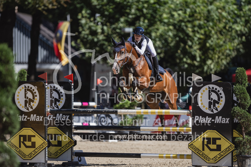 230907_OWLCh_SpringpferdeM-143 | Deine schönsten Turniermomente als professionelle Fotos! Entdecke hochwertige Pferdesport-Fotografie im Online-Shop. Jetzt Fotos finden & bestellen!